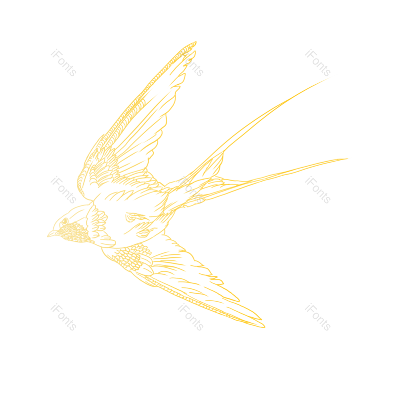 春天图片,线描元素,工笔画PNG,免抠素材